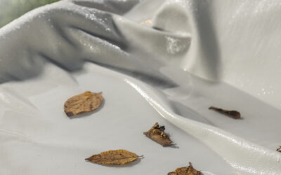 Perfor-MAX leather: the perfect material for interiors and exteriors