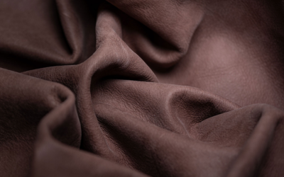 Is a Leather Sofa Hot in Summer and Cold in Winter? Let’s Clear Things Up